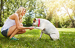 All great friendships start with a paw-shake