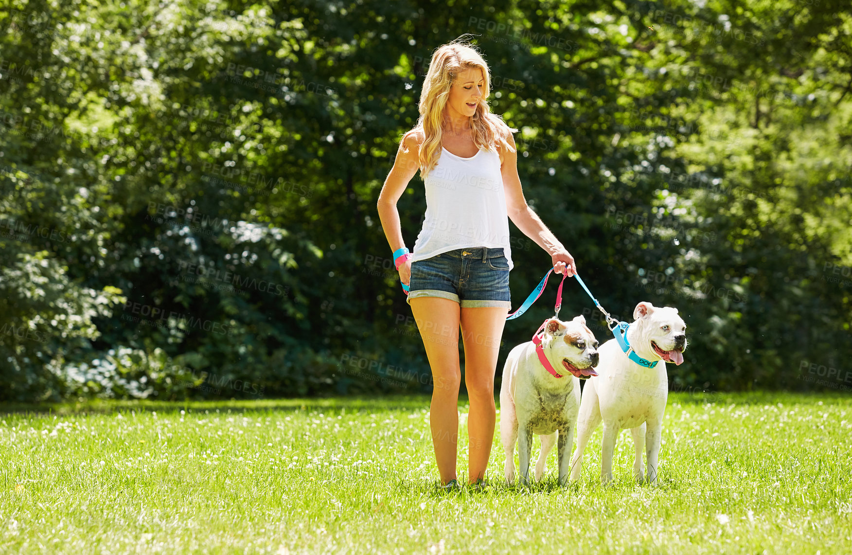 Buy stock photo Shot of a young woman with her two dogs at the park