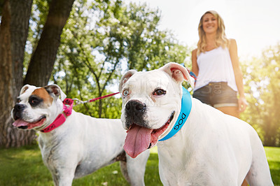 Buy stock photo Shot of a young woman with her two dogs at the park