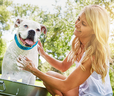 Buy stock photo Shot of a woman bathing her pet dog outside on a summer's day