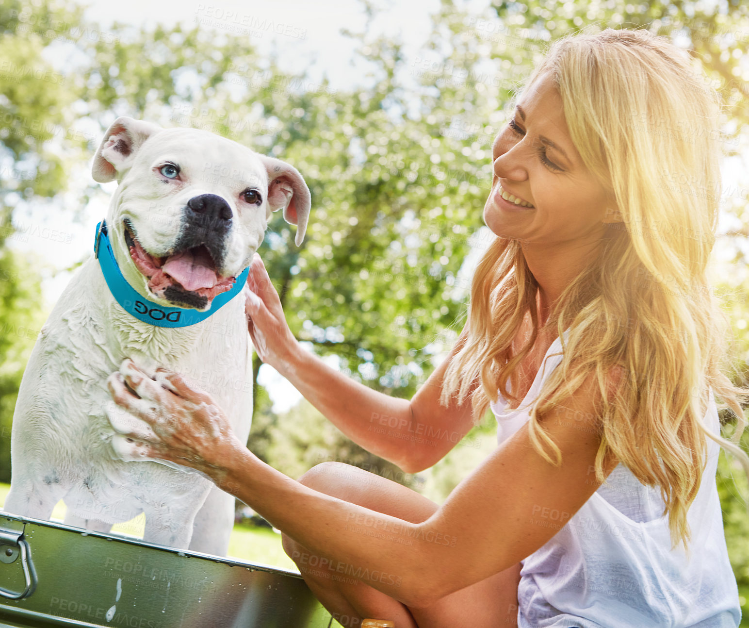 Buy stock photo Shot of a woman bathing her pet dog outside on a summer's day