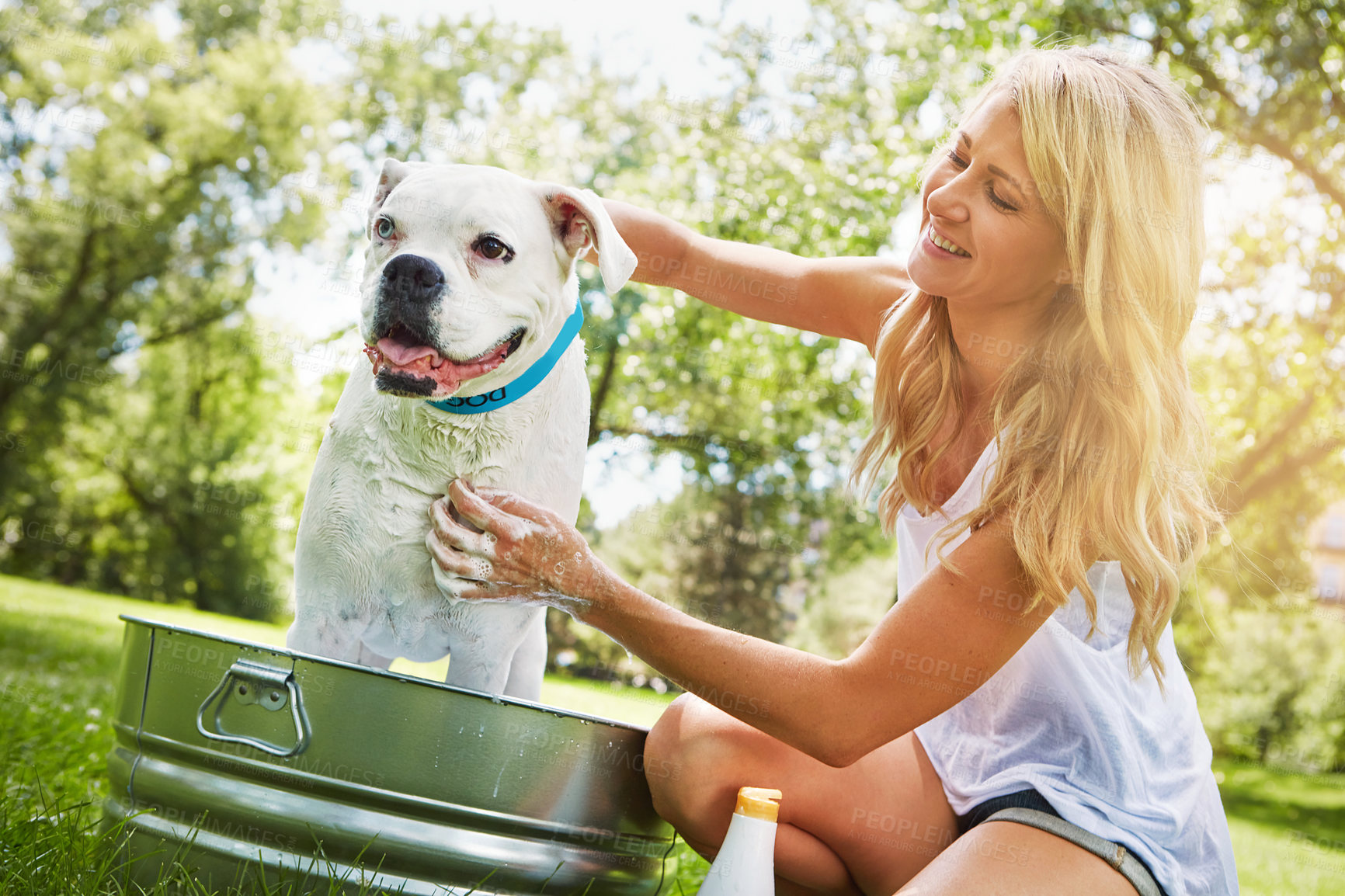 Buy stock photo Shot of a woman bathing her pet dog outside on a summer's day