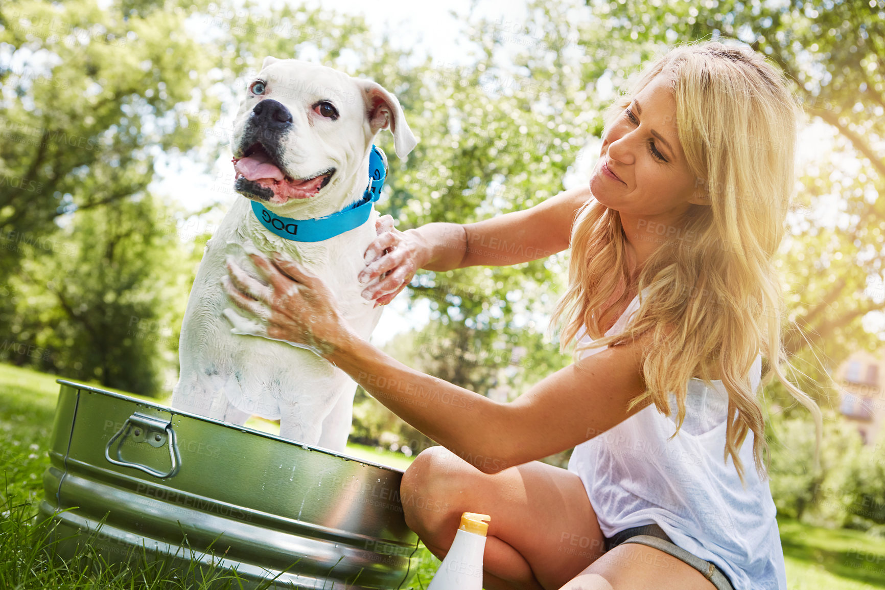 Buy stock photo Shot of a woman bathing her pet dog outside on a summer's day