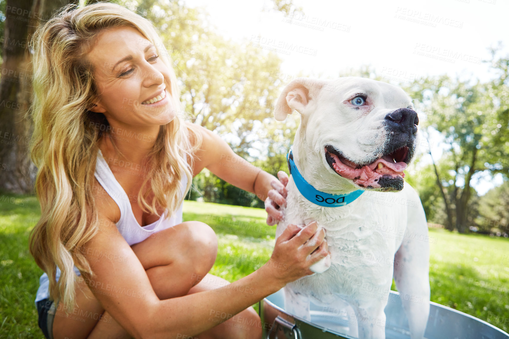 Buy stock photo Shot of a woman bathing her pet dog outside on a summer's day