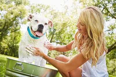 Buy stock photo Shot of a woman bathing her pet dog outside on a summer's day