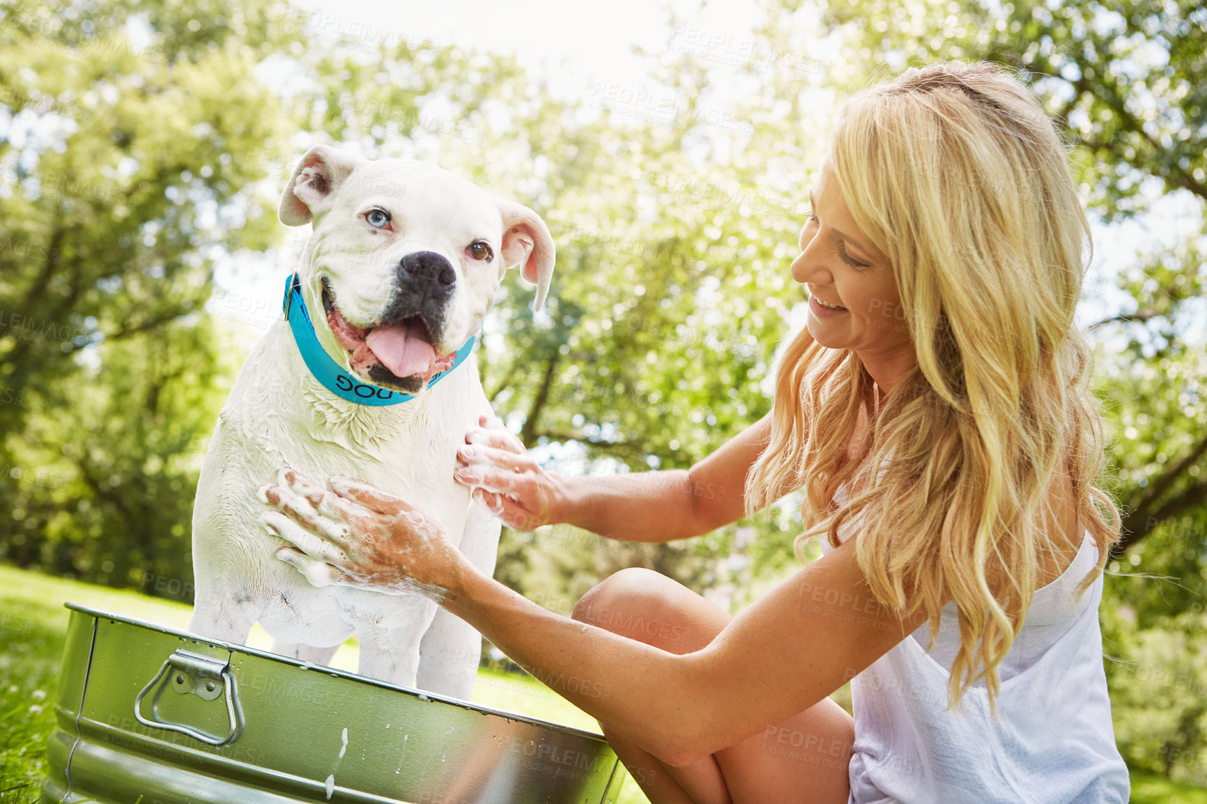 Buy stock photo Shot of a woman bathing her pet dog outside on a summer's day