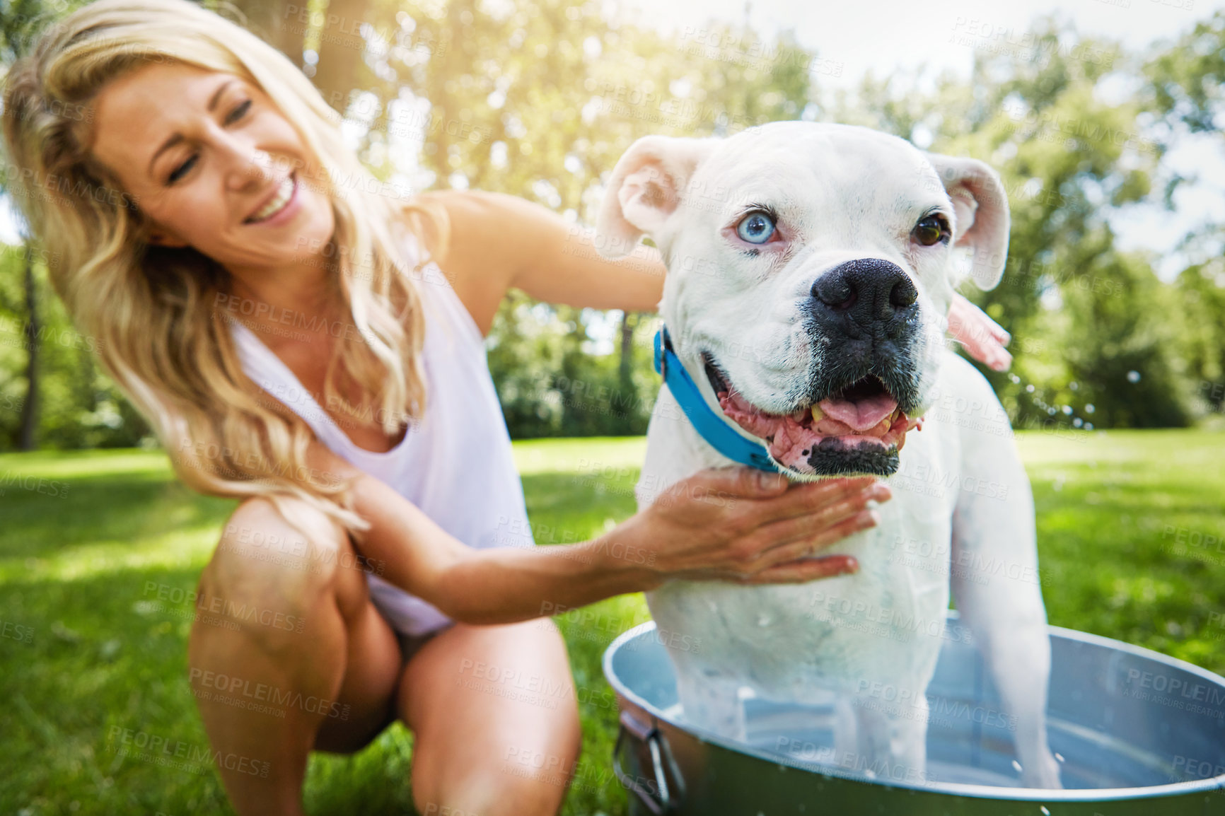 Buy stock photo Park, dog and happy woman with tub for bathing, animal hygiene and cleaning fur for grooming process. Outdoor, portrait and person with water for washing pet, care and germ prevention for wellness
