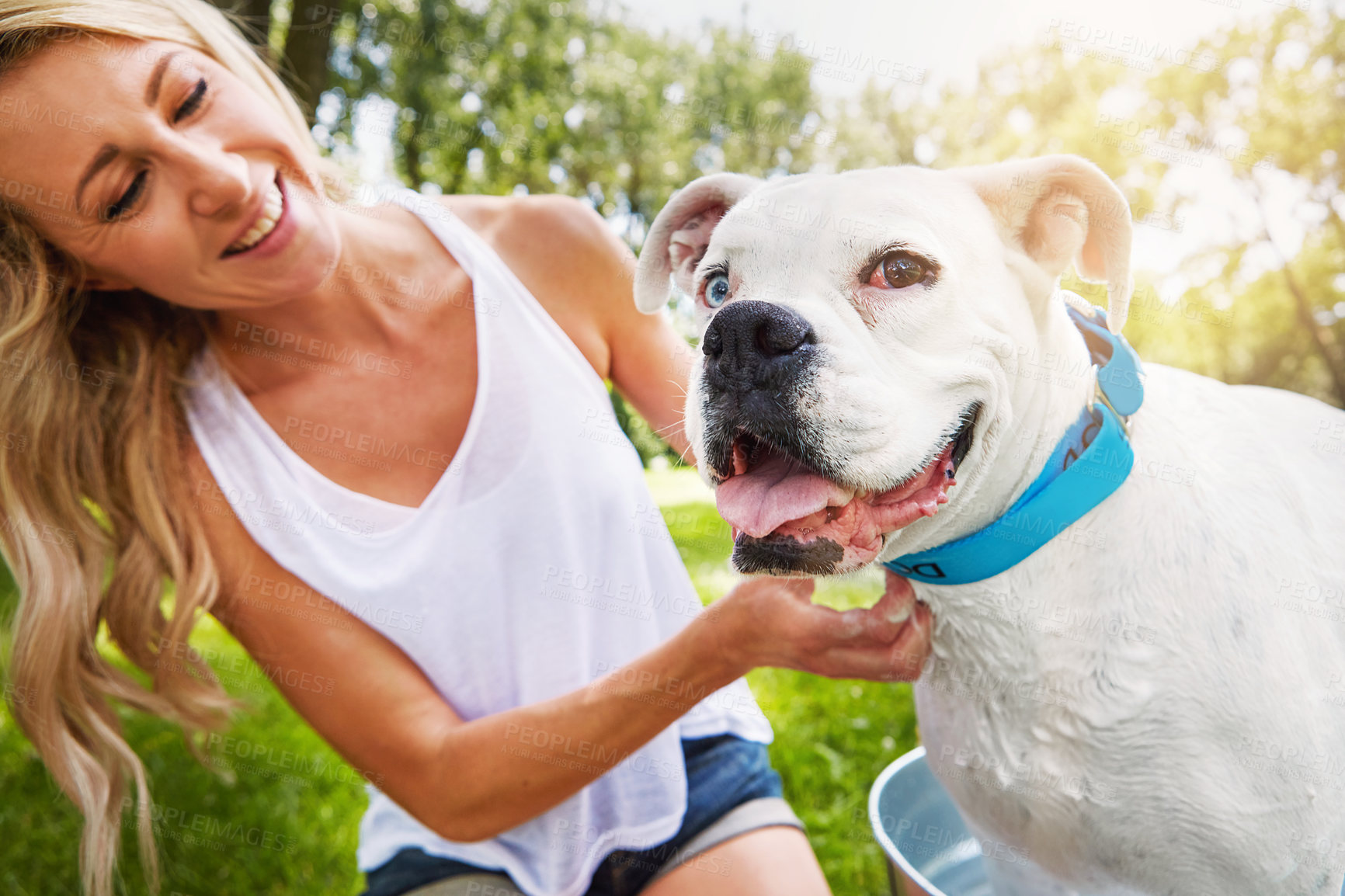 Buy stock photo Shot of a woman bathing her pet dog outside on a summer's day