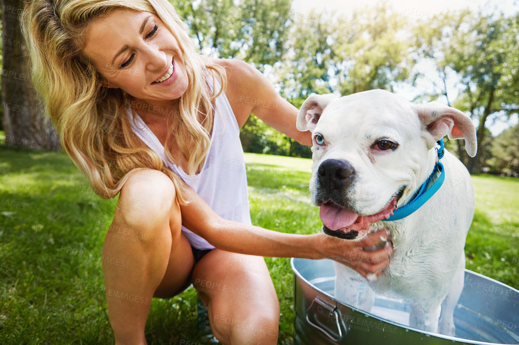 Buy stock photo Shot of a woman bathing her pet dog outside on a summer's day