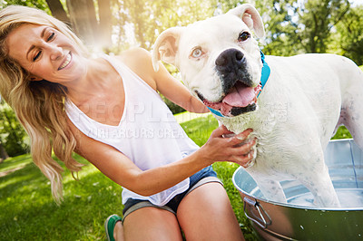 Buy stock photo Shot of a woman bathing her pet dog outside on a summer's day