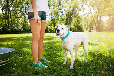 Buy stock photo Cropped shot of a dog standing by his owner's side