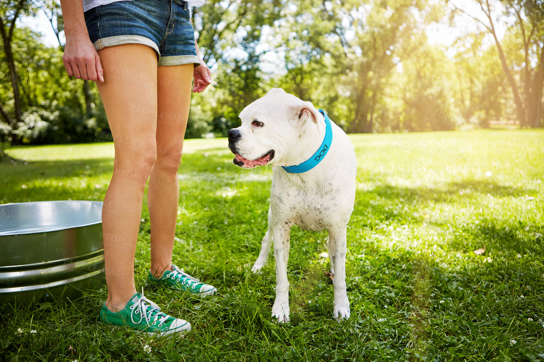 Buy stock photo Dog, nature and woman with love, outdoor and bonding together with companion, flare and games. Park, pet owner and person with canine, animal care or playful with afternoon break, loyalty or wellness