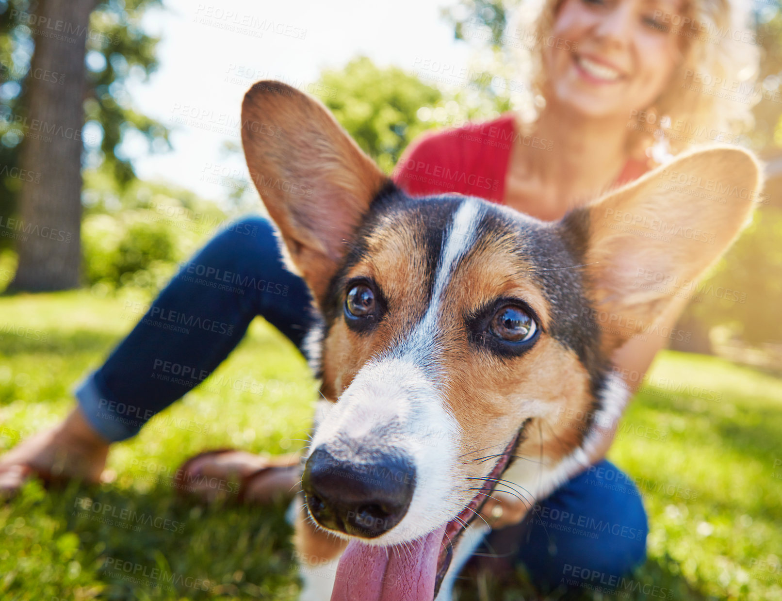 Buy stock photo Shot of a young woman bonding with her dog in the park