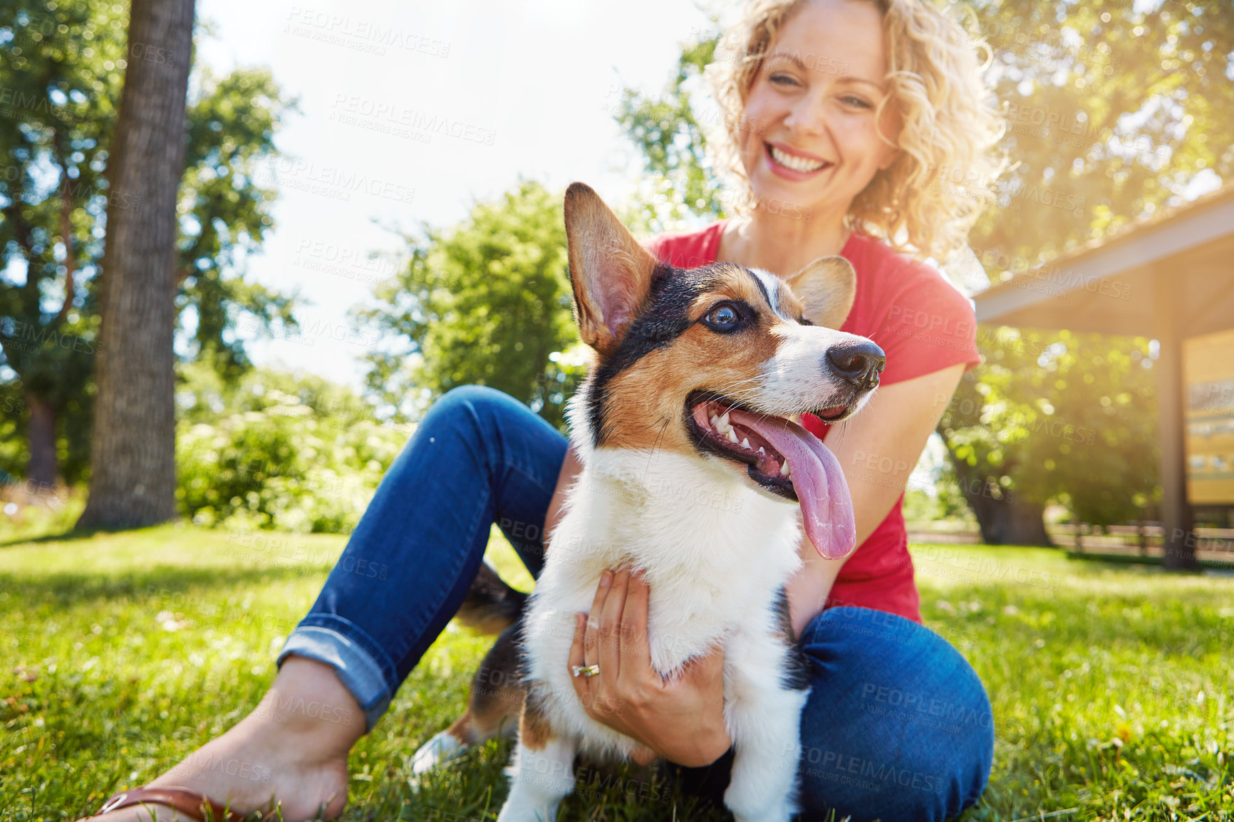 Buy stock photo Shot of a young woman bonding with her dog in the park