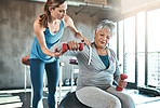 Reversing muscle decline with the help of a physical therapist