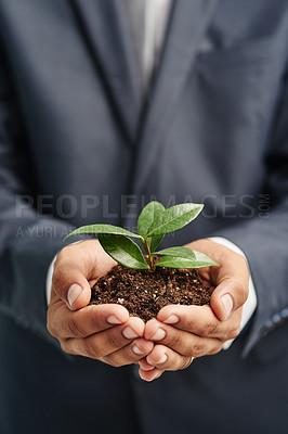 Buy stock photo Closeup shot of a businessman in a suit holding a sprouting plant in soil in his cupped hands