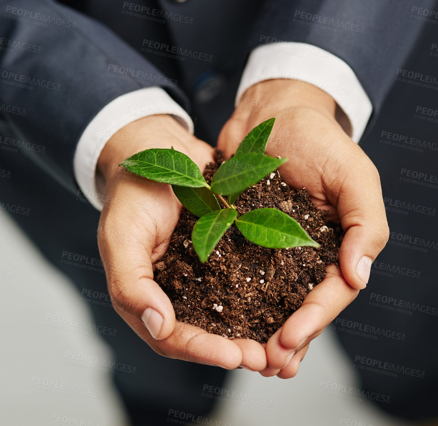 Buy stock photo Hands, plant and soil for business, project and future of agency, fertiliser and sustainable finance. Closeup, natural and person with resources for company, growth or development of leaves in profit