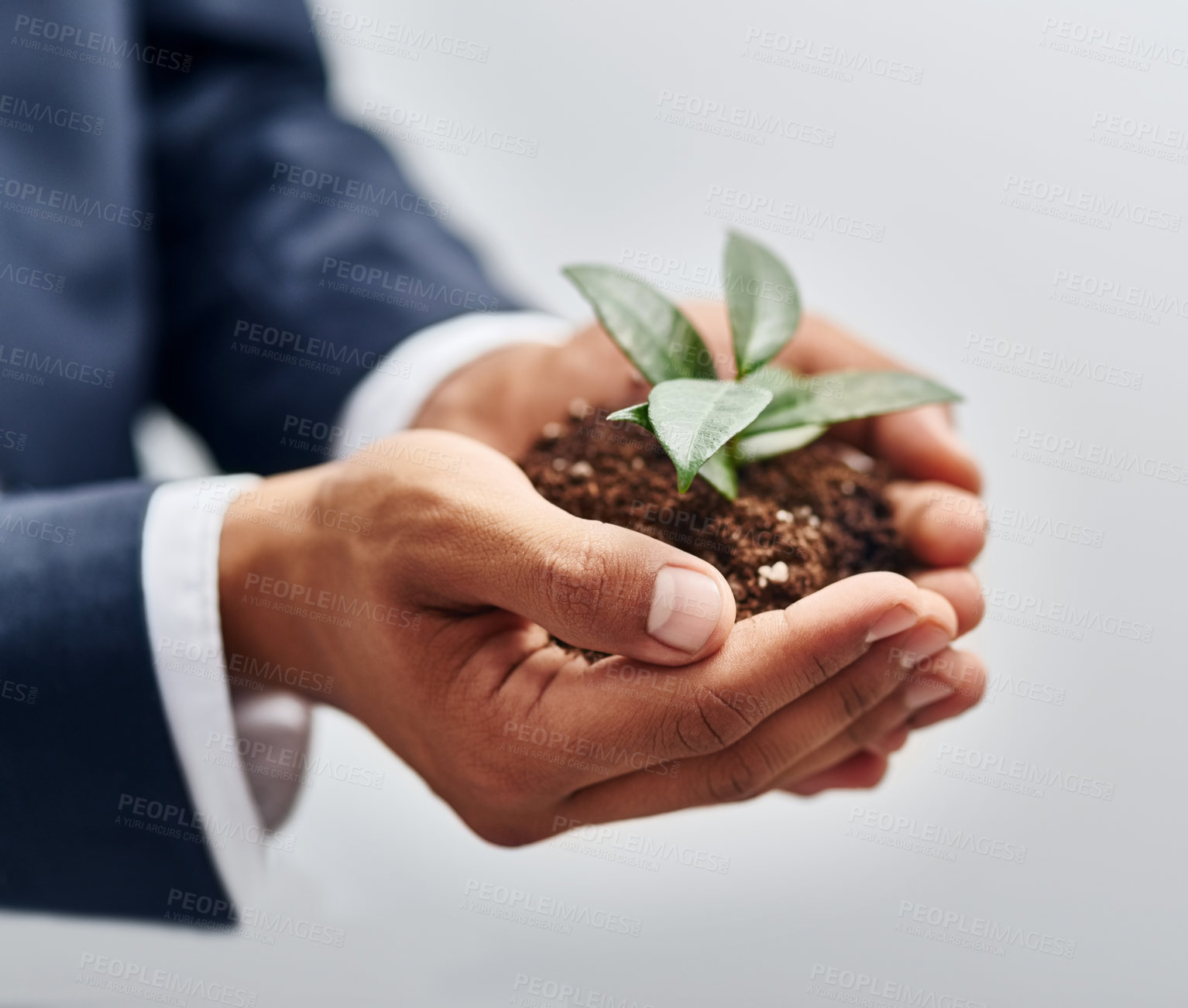 Buy stock photo Hands, plant and soil for business growth, sprout and future of agency, fertiliser and sustainable. Closeup, natural and person with resources for company, seedling or development of leaves in profit