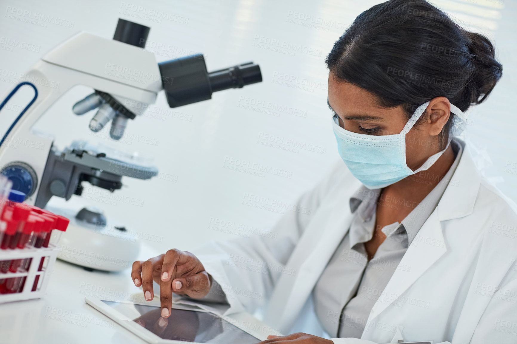 Buy stock photo Scientist, microscope and tablet in laboratory for medical research, vaccine study and investigation. Woman, science and development with biotechnology for pathology, results and stem cell innovation