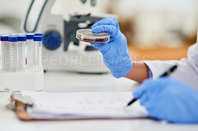 Buy stock photo Closeup shot of a scientist examining a sample in a petri dish and recording findings in a lab