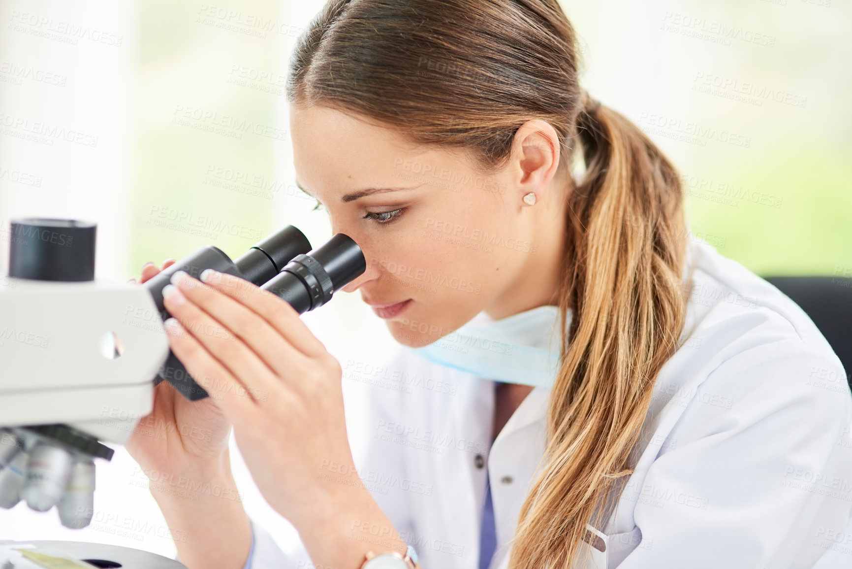 Buy stock photo Cropped shot of a young female scientist working in a lab