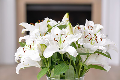 Buy stock photo A closeup portrait view of a beautiful white lily flower. vibrant colorful flowers and leaves. A bunch of lilies with red stigma in the center of the plant and leaf in a glass vase of white Easter.  