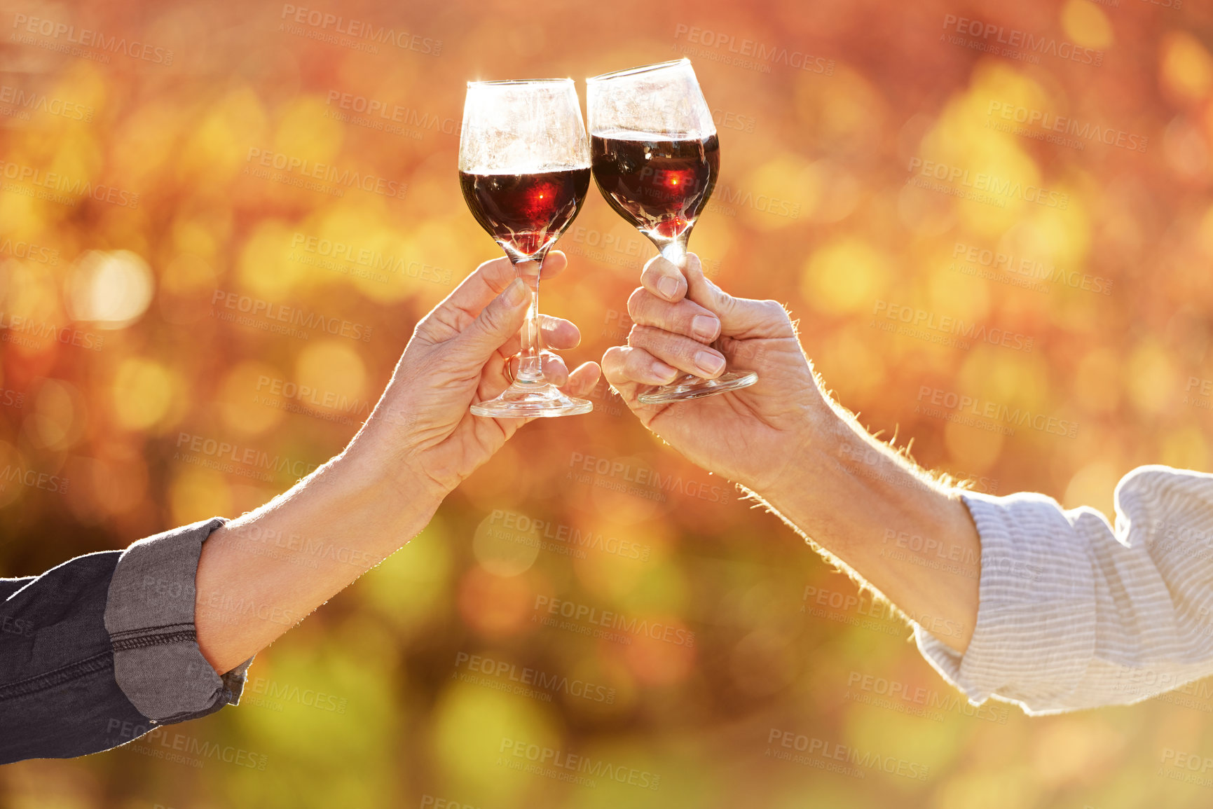 Buy stock photo Cropped shot of a senior couple making a toast together in front of vineyards in the autumn