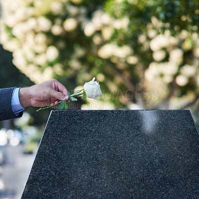 Buy stock photo Cropped shot of a man placing a white rose on a grave
