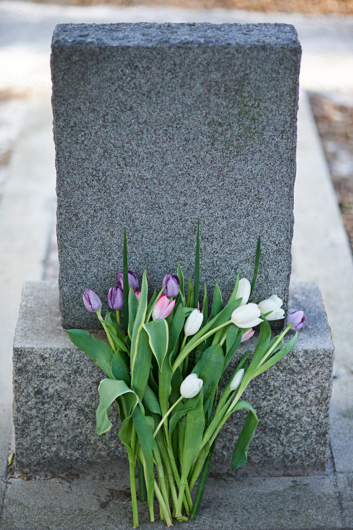 Buy stock photo Shot of a gravestone in a cemetery