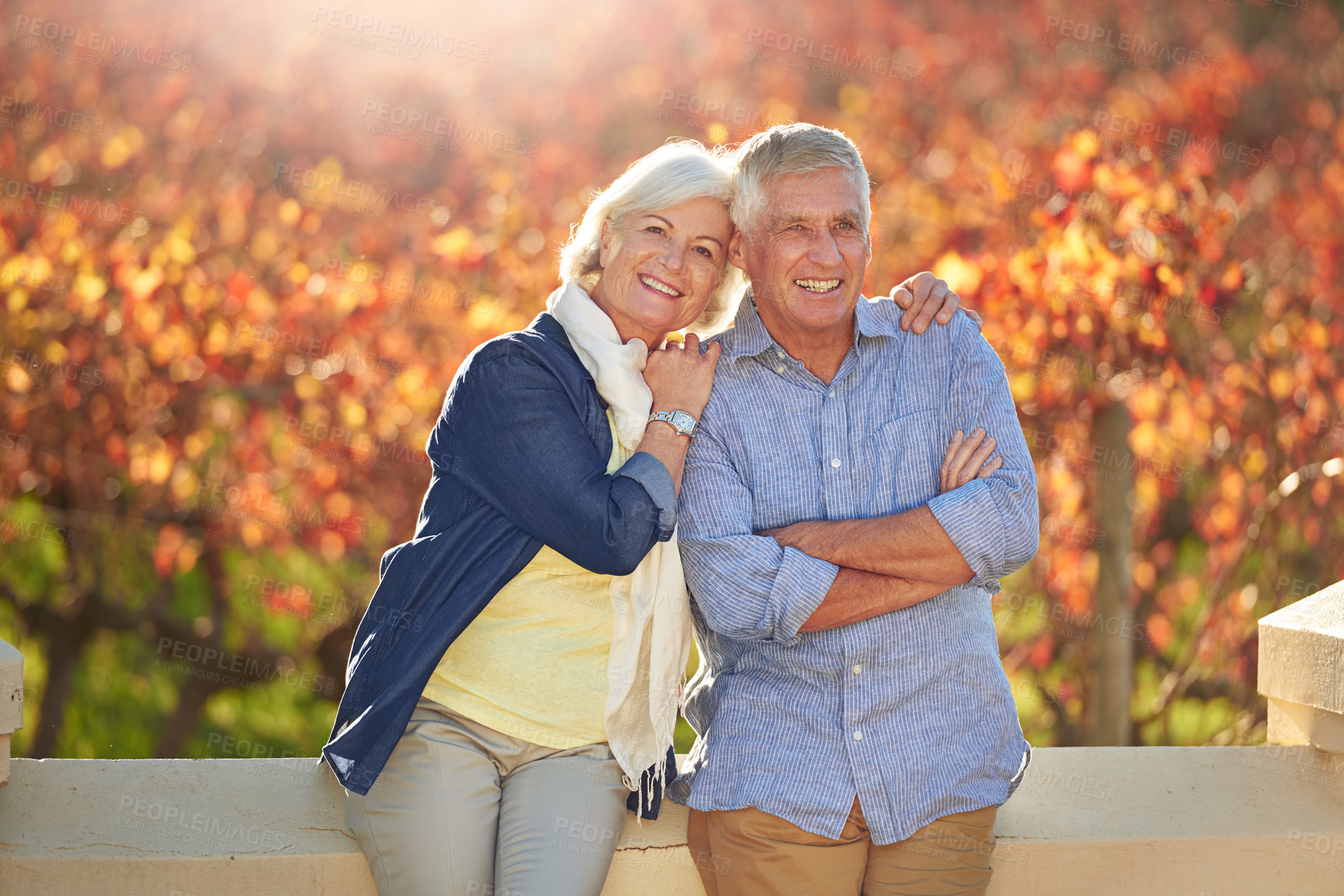 Buy stock photo Portrait of a smiling senior couple standing together in front of a vineyard in the autumn