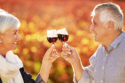 Buy stock photo Love, senior or happy couple toast in park for celebration on holiday vacation for bonding in autumn. Retirement, cheers and people on marriage anniversary with glass, drinks or wine in commitment