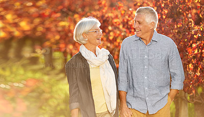 Buy stock photo Shot of smiling senior couple walking hand in hand together through a vineyard in the autumn