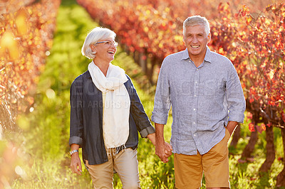 Buy stock photo Couple, portrait and walking holding hands in autumn, nature and happy on wine farm in countryside. Mature, man and woman travel on holiday with love or vacation in Italy to relax outdoor in vineyard