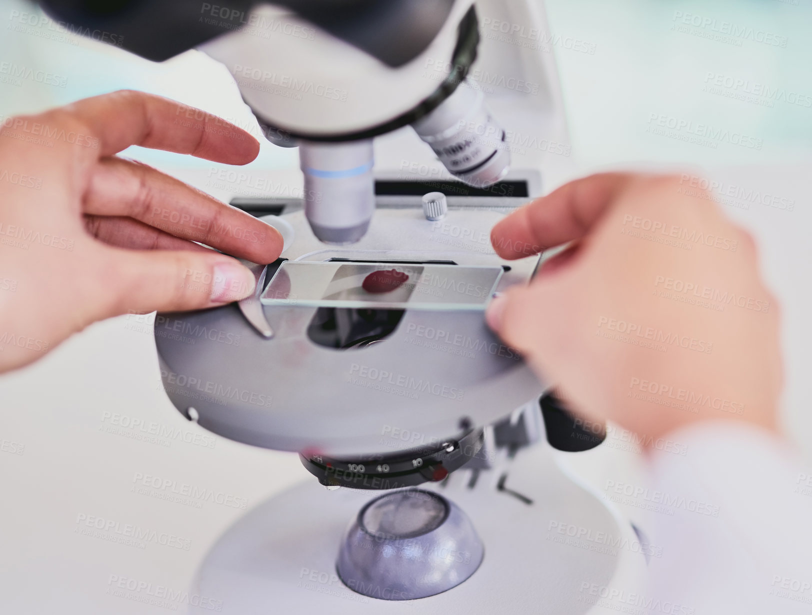 Buy stock photo Closeup shot of a scientist using a microscope while sitting in a lab