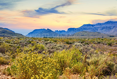 Buy stock photo The Cederberg Wilderness Area  a wonderfully rugged mountain range about 200km north of Cape Town. Largely unspoiled, this designated wilderness area is characterised by high altitude fynbos and, not surprisingly, considering the name, sizeable cedar trees.