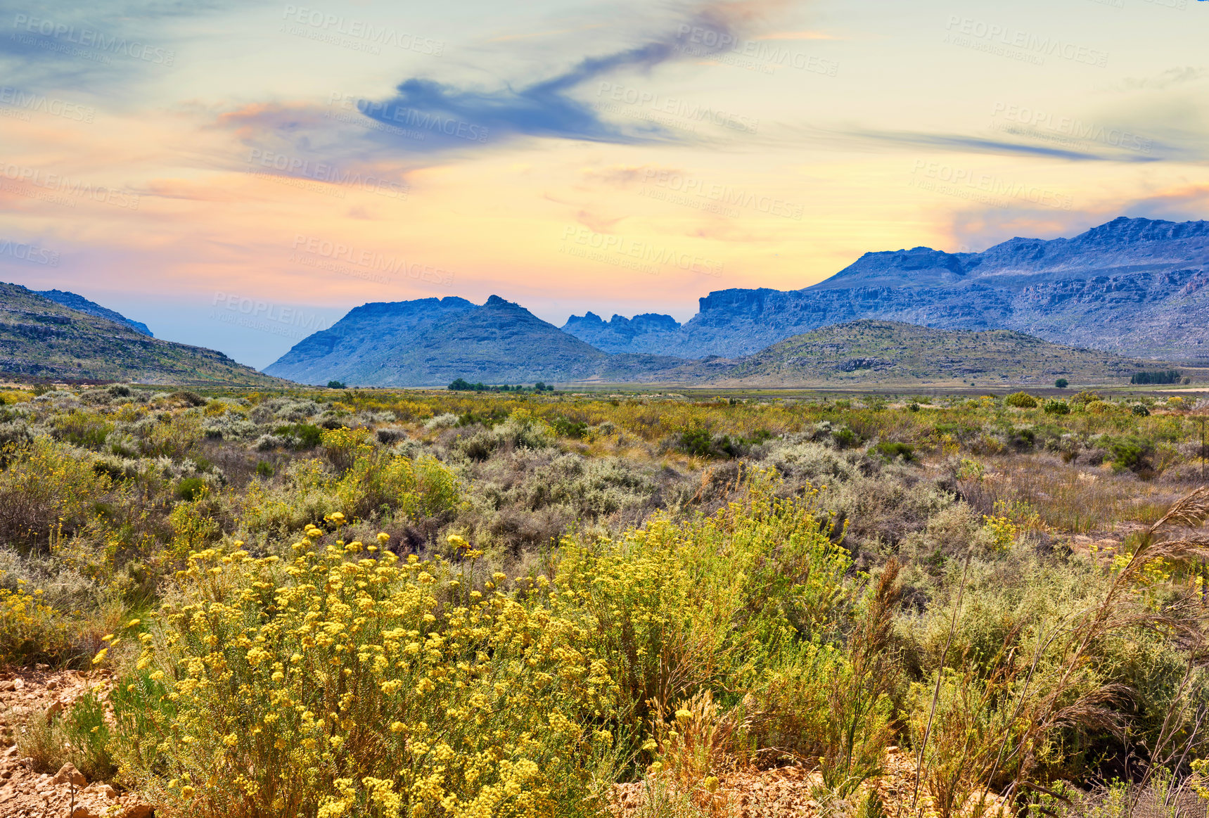 Buy stock photo The Cederberg Wilderness Area  a wonderfully rugged mountain range about 200km north of Cape Town. Largely unspoiled, this designated wilderness area is characterised by high altitude fynbos and, not surprisingly, considering the name, sizeable cedar trees.