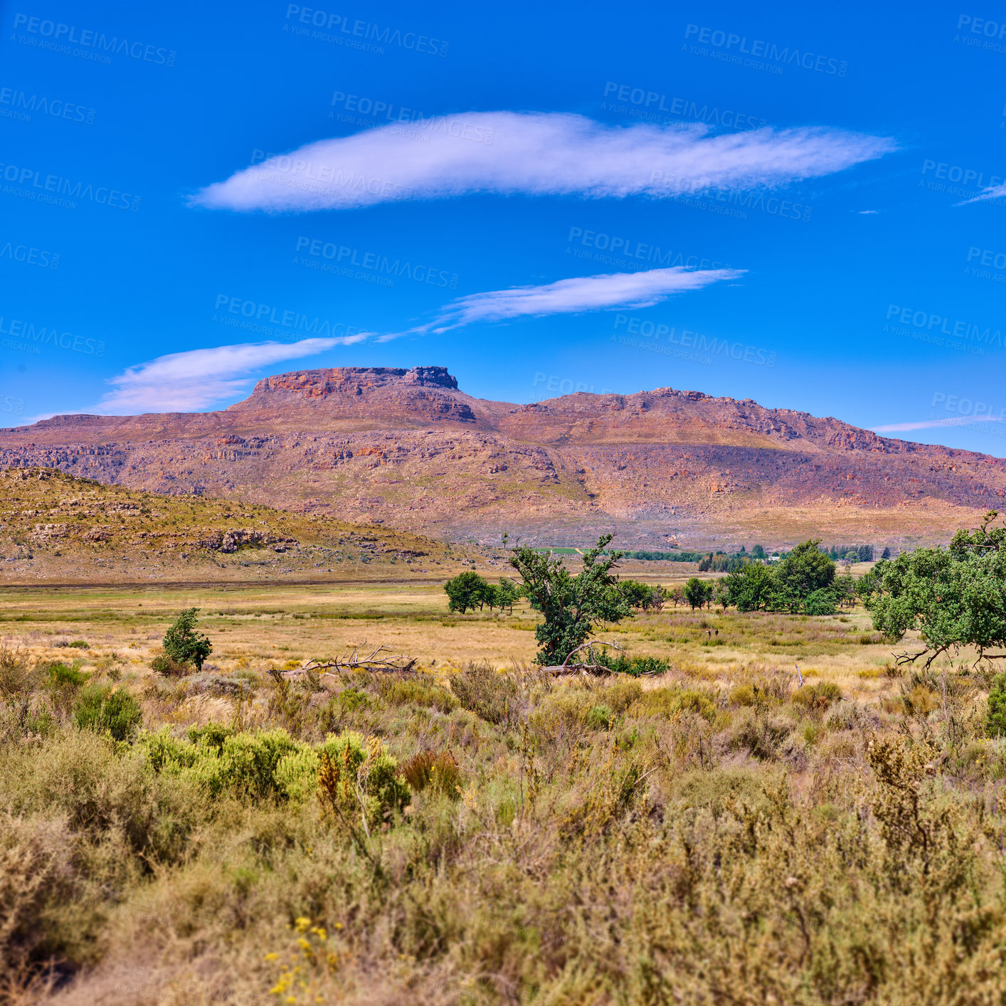 Buy stock photo Landscape, mountains and travel with field in nature for environment, horizon and growth. Sustainability, plants and tourism with outdoor and trees for rocks, habitat conservation and hill background