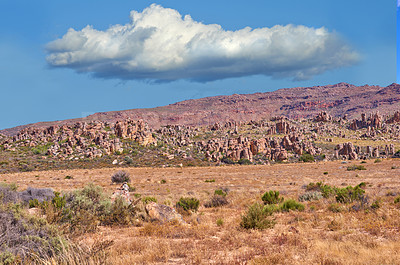 Buy stock photo The Cederberg Wilderness Area, managed by Cape Nature Conservation, is a wonderfully rugged mountain range about 200km north of Cape Town. Largely unspoiled, this designated wilderness area is characterised by high altitude fynbos and, not surprisingly, considering the name, sizeable cedar trees.