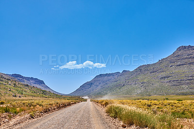 Buy stock photo Path, mountain and nature with growth by blue sky, plants and climate change in conservation. Landscape, sustainable ecology and journey with trails for hiking, trekking and adventure in Switzerland