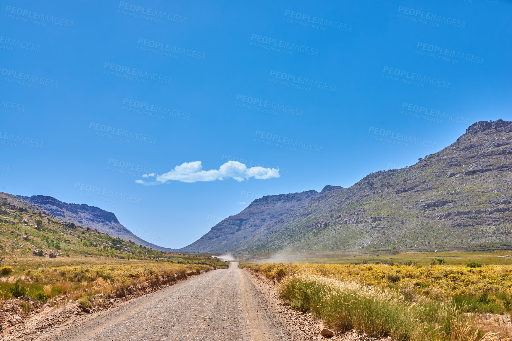 Buy stock photo Path, mountain and nature with growth by blue sky, plants and climate change in conservation. Landscape, sustainable ecology and journey with trails for hiking, trekking and adventure in Switzerland