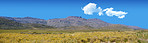 Landscape in Cederberg nature reserve, South Africa