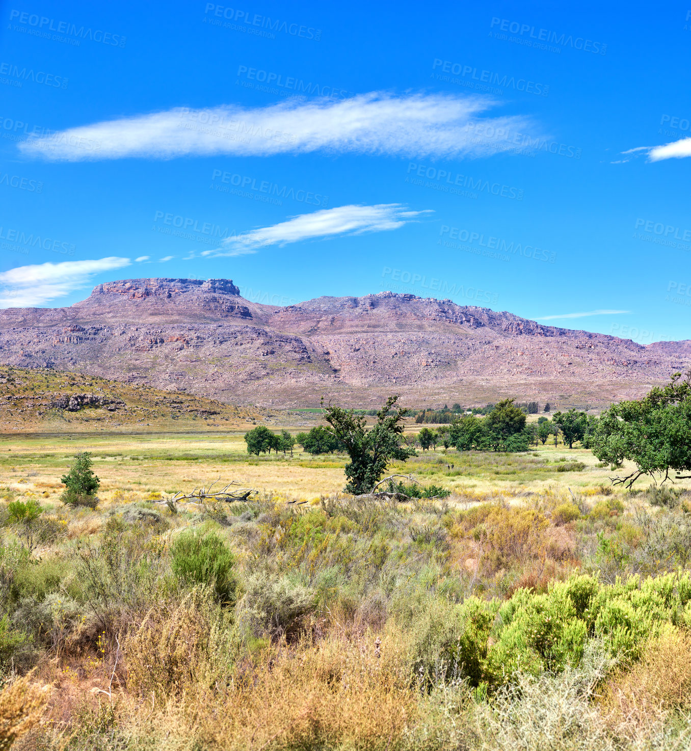 Buy stock photo Trees, bush and mountains with nature, landscape and travel with tourism, empty and adventure, Environment, outdoor and countryside with earth day, spring and ecology with grass and biodiversity