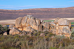 Cedarberg Wilderness Area  - South Africa