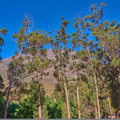 Buy stock photo The Cederberg Wilderness Area  a wonderfully rugged mountain range about 200km north of Cape Town. Largely unspoiled, this designated wilderness area is characterised by high altitude fynbos and, not surprisingly, considering the name, sizeable cedar trees.