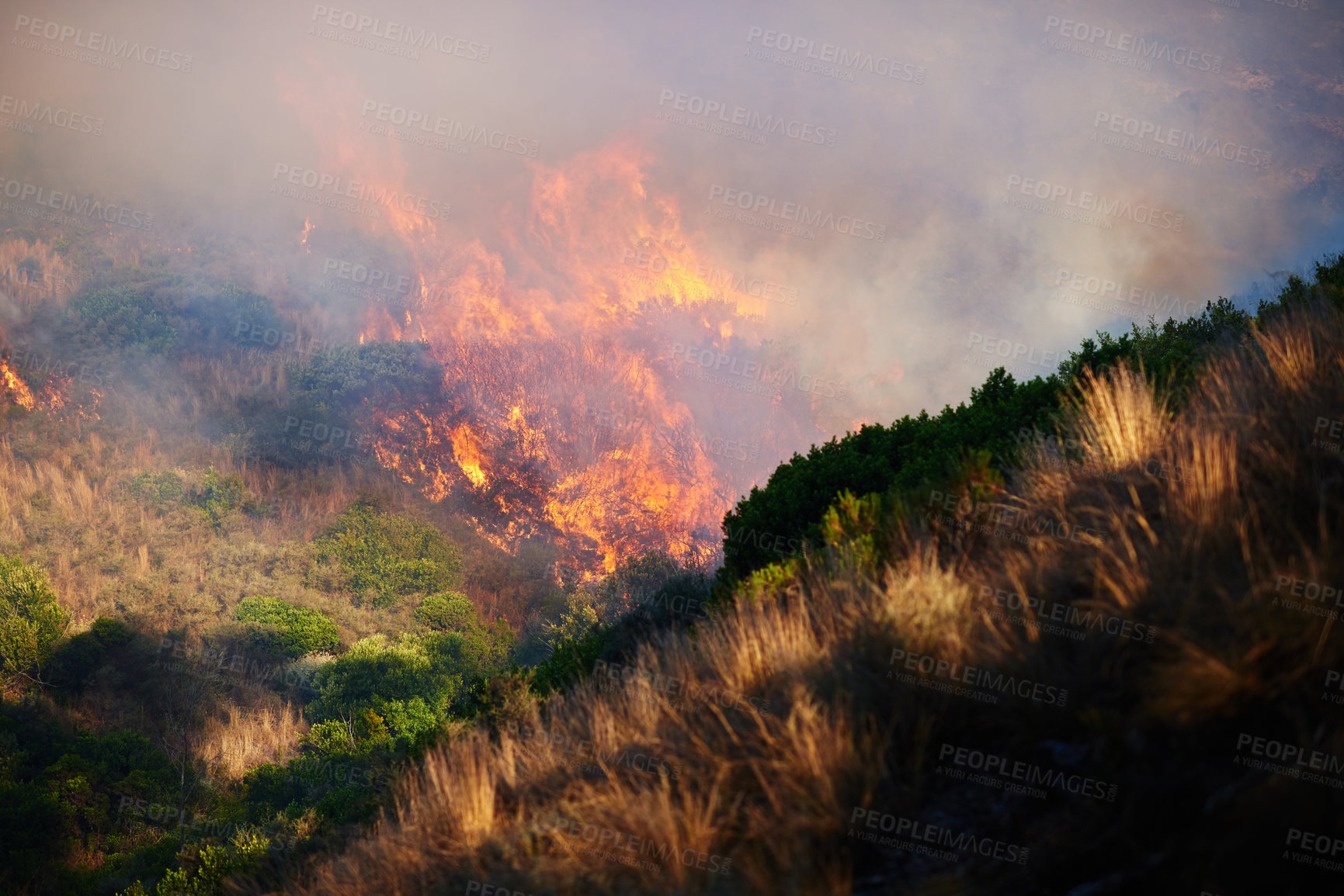 Buy stock photo Wild fire, flames and environment with emergency, burning and nature with smoke, forest and emergency. Outdoor, empty and woods with trees, landscape and risk with natural disaster, hazard and damage