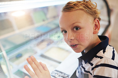 Buy stock photo Portrait of a young boy looking into a freezer at an ice cream store