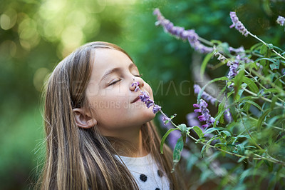 Buy stock photo Cropped shot of a little girl smelling a lavender plant outside