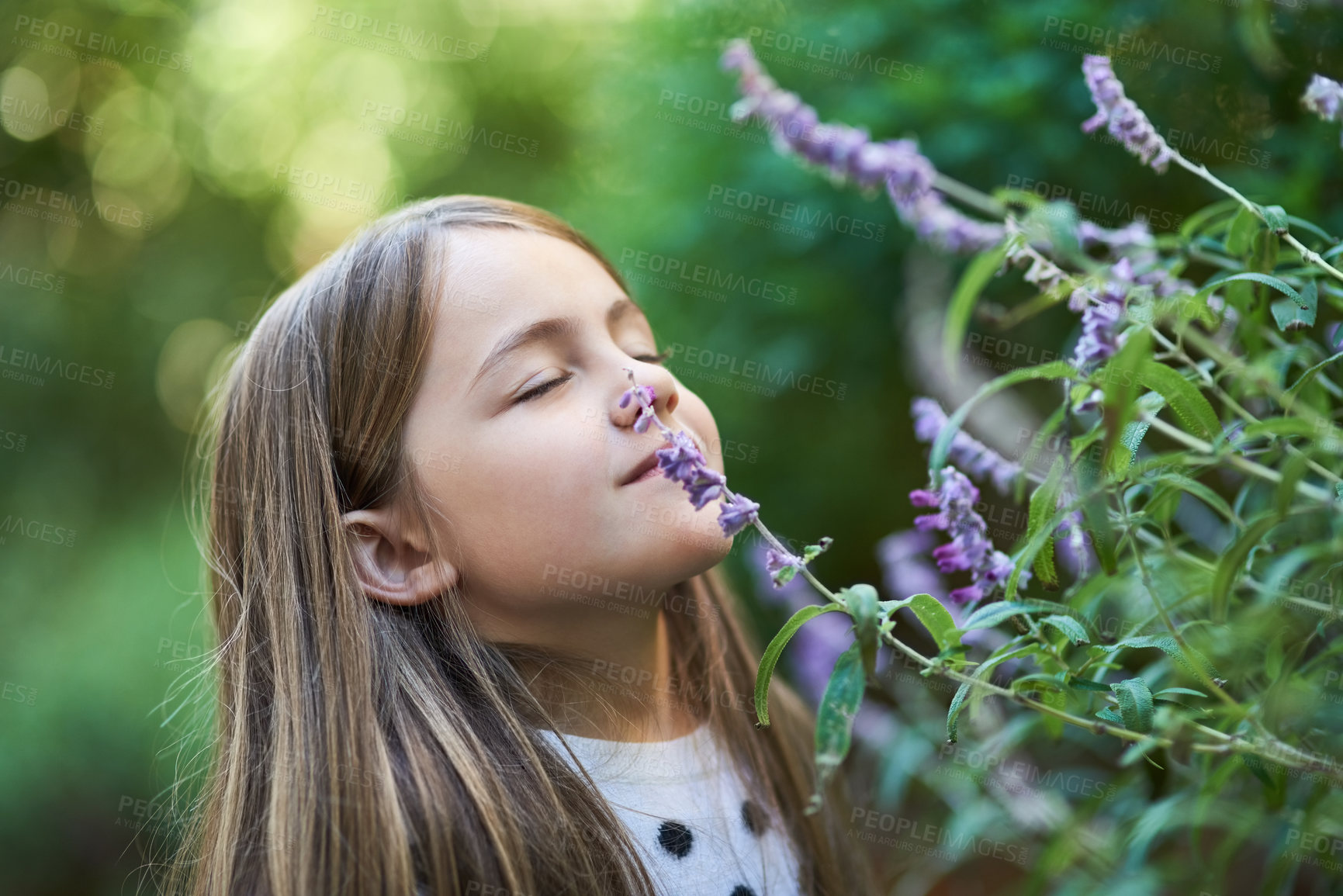 Buy stock photo Cropped shot of a little girl smelling a lavender plant outside