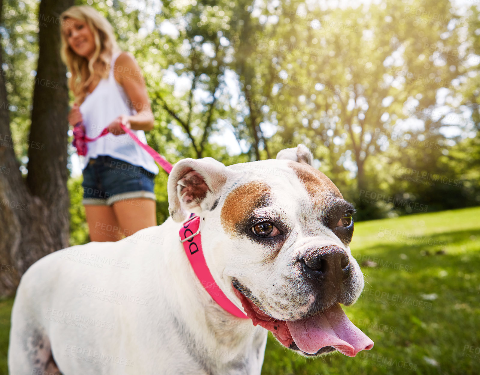 Buy stock photo Shot of a young woman spending time with her dog at the park