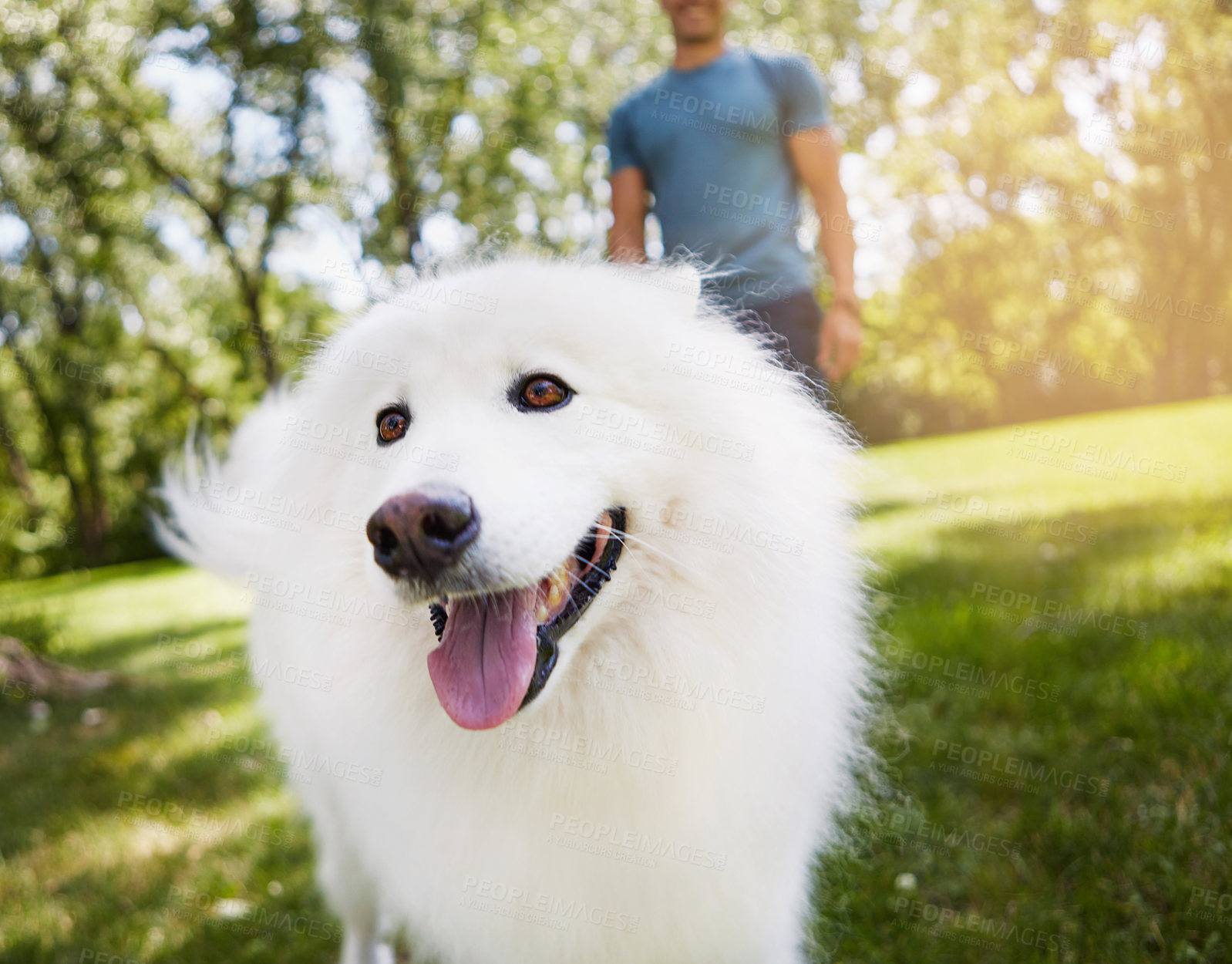 Buy stock photo Shot of a handsome young man walking his dog in the park